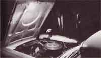 Engine Compartment Light